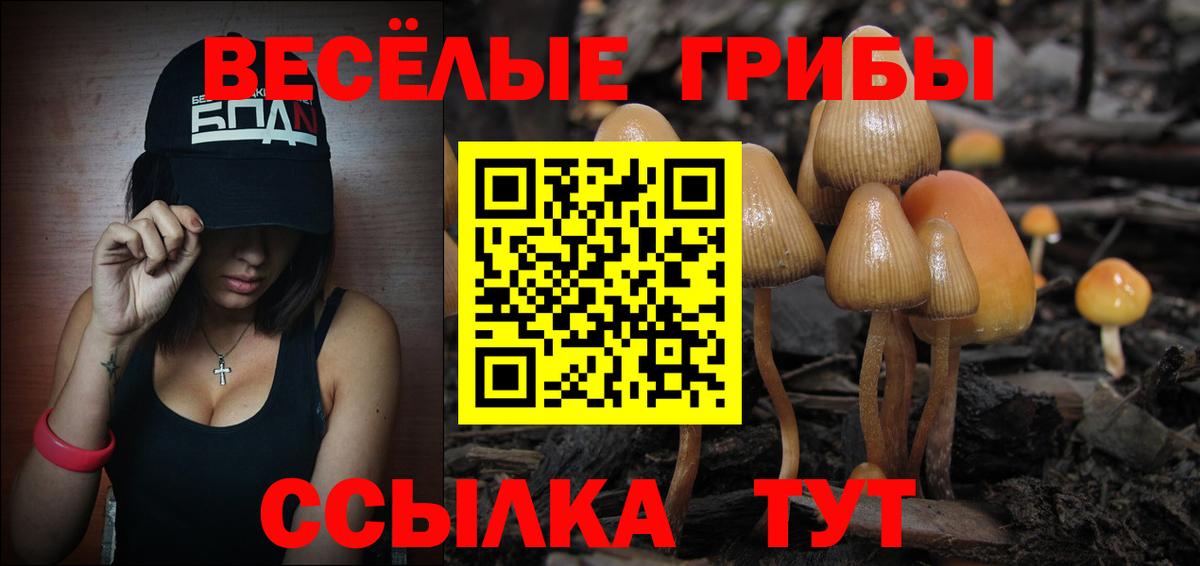 Галлюциногенные грибы GOLDEN TEACHER Выборг